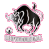 https://img.yixiao17.com/img/football/team/97c3ef30cac48cadff97605e387feefa.png